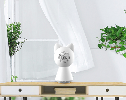 Wireless WiFi Monitoring Camera with Mobile Remote Control